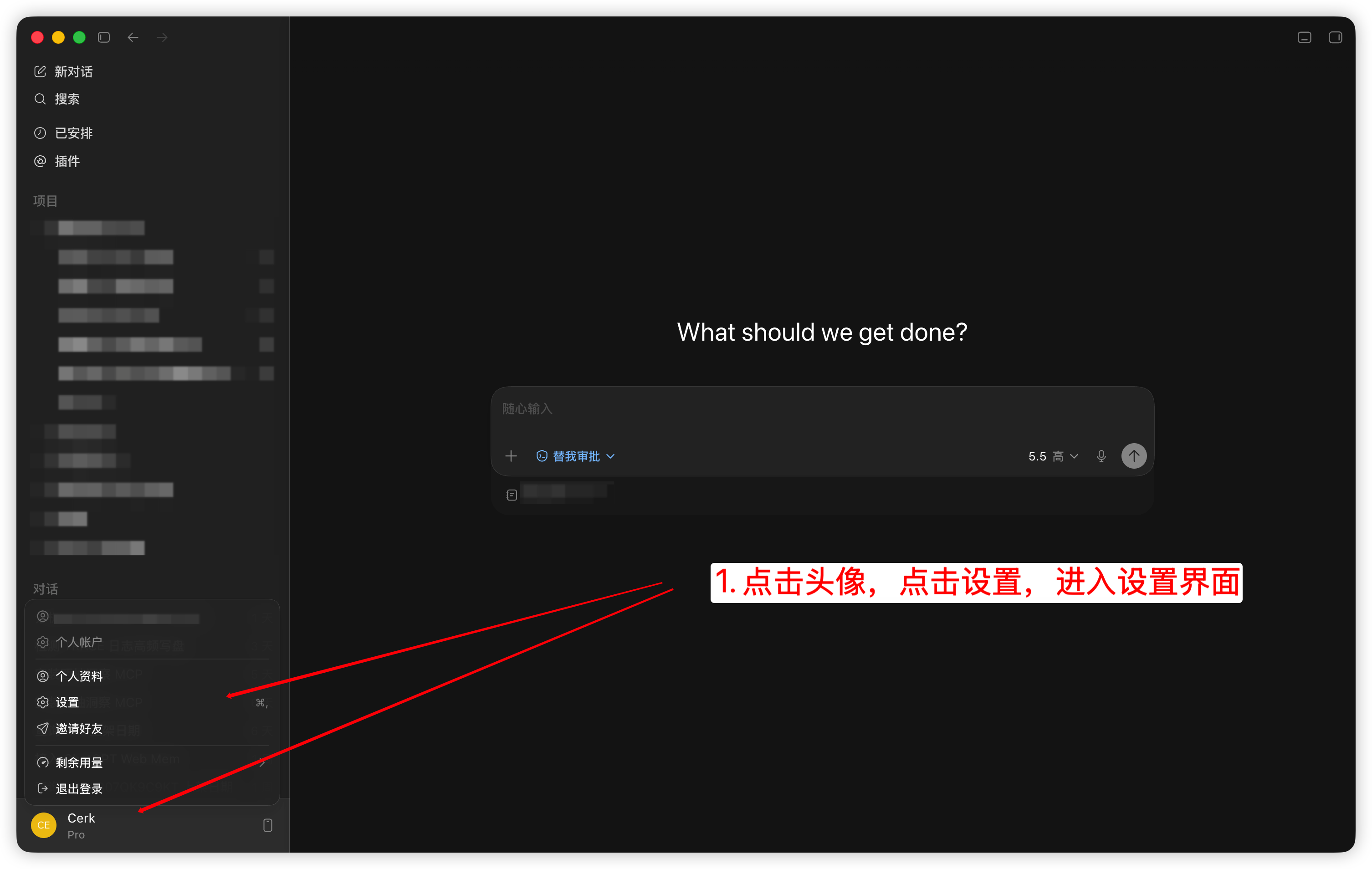 Codex 点击头像，点击设置，进入设置界面